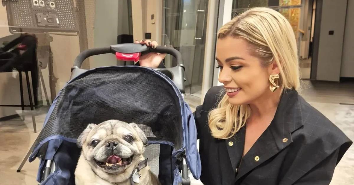 Andrea Šušnjara našla se na udaru hejtera zbog psa u kolicima, odgovorila im je