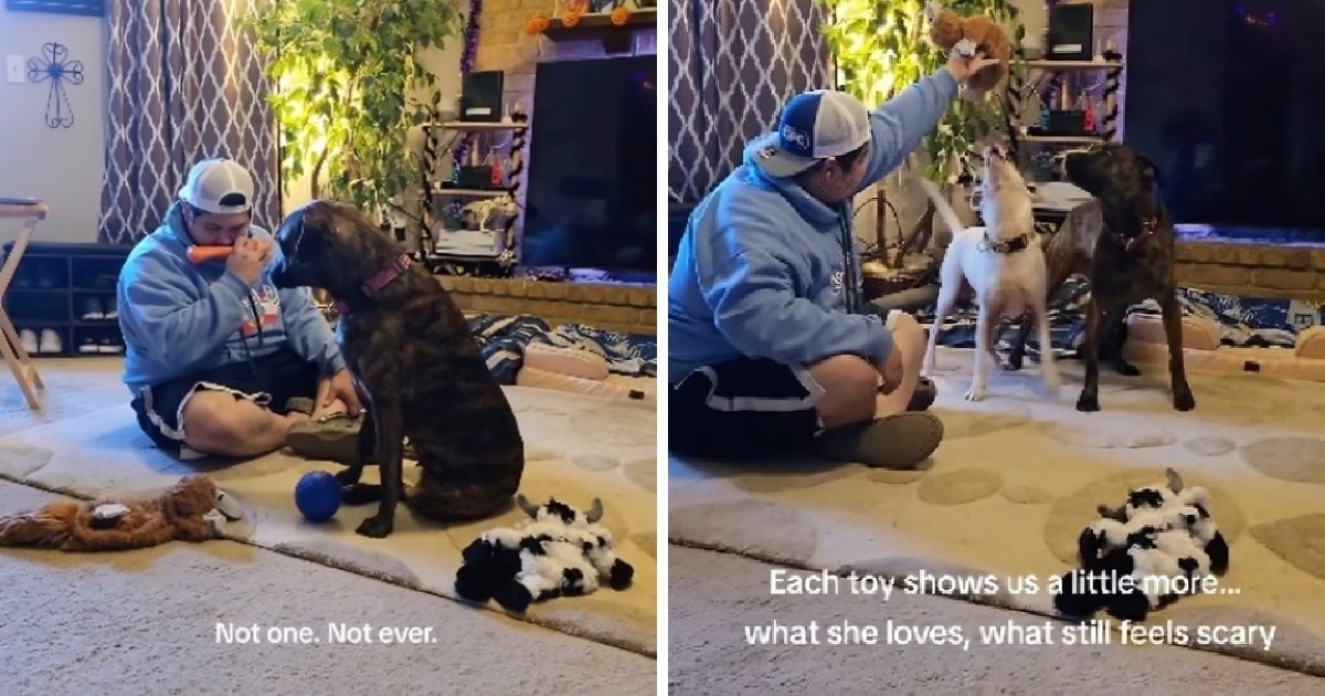 Spa&#x161;ena kujica prvi put dobila igra&#x10D;ke, njezina reakcija je osvojila internet