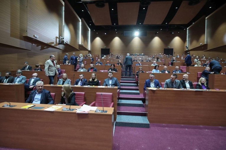 Zastupnici sutra glasaju o ključnim temama pa odlaze na ljetnu stanku
