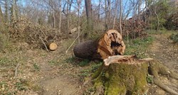 Časne sestre u Zagrebu ilegalno posjekle stabla i zakrčile prolaz mještanima