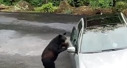 VIDEO Iz kabine uočili medvjeda, šokirali se kad je otvorio vrata Mercedesa...