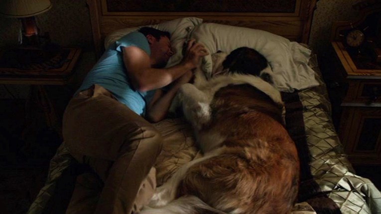 Psihologinja navela pet razloga zašto je dobro spavati sa psom u krevetu