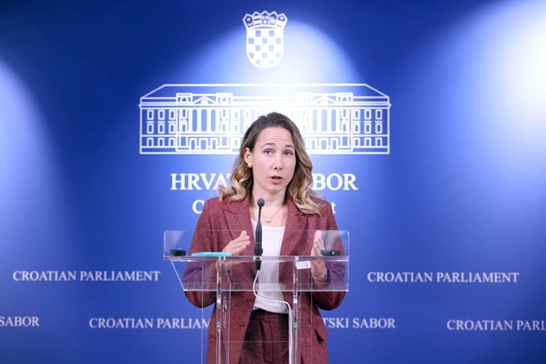 Selak Raspudić: Očekujemo ispriku Tomaševića zbog izložbe na koju je poslao svoje ljude