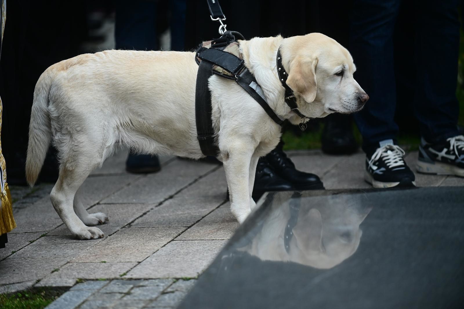 Na osmrtnici Duška Vujoševića među ožalošćenima navedena i labradorica Žuta