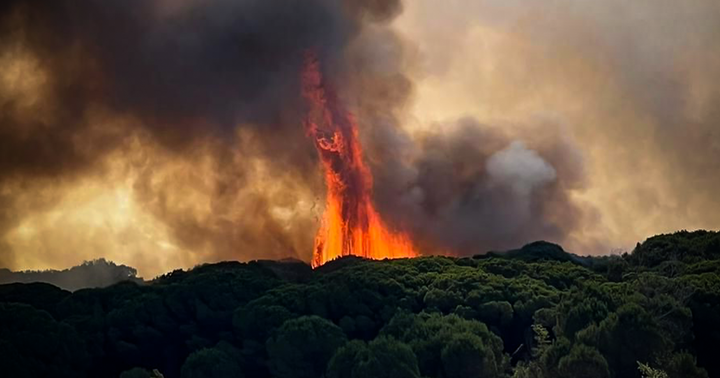 Zbog šumskog požara evakuirani turisti talijanskog odmarališta
