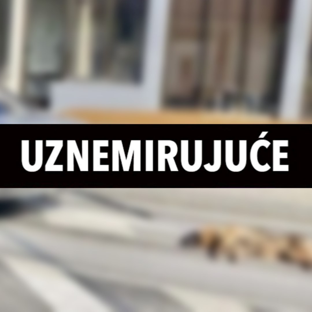 UZNEMIRUJUĆE Žena autom vukla psa po cesti u Hercegovini. Kaže da je nesretan slučaj