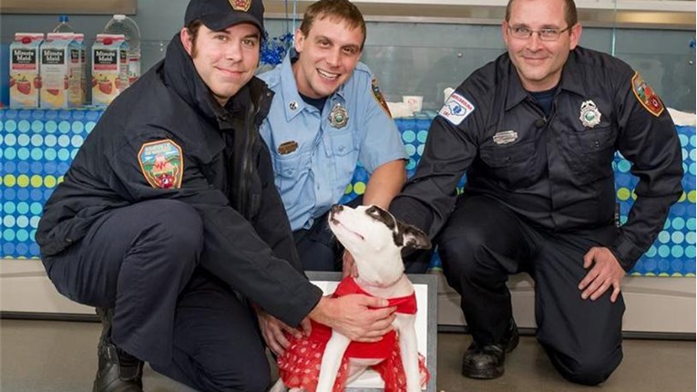Ovaj pas je na čudesan način zahvalio vatrogascu koji mu je spasio život