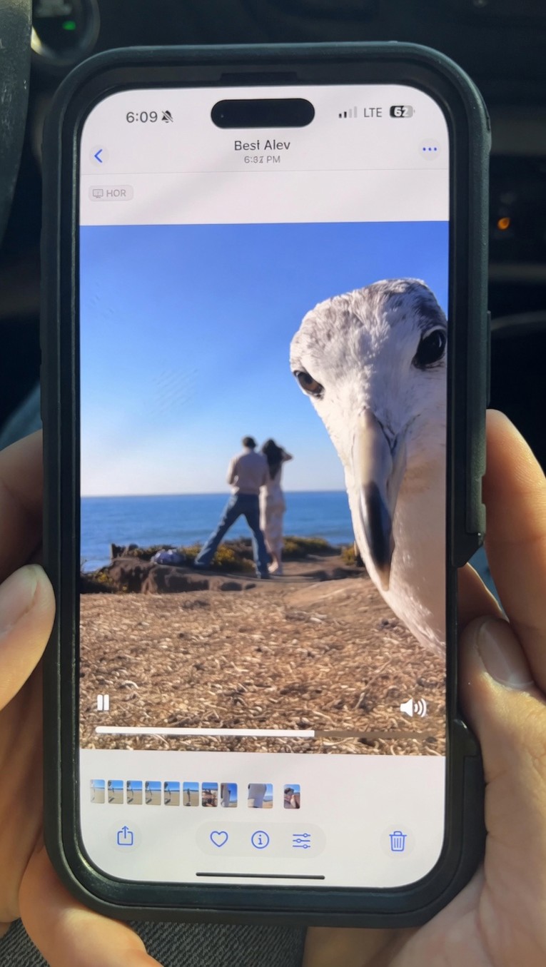 Snimali prosidbu pa shvatili da su pali u drugi plan 😄