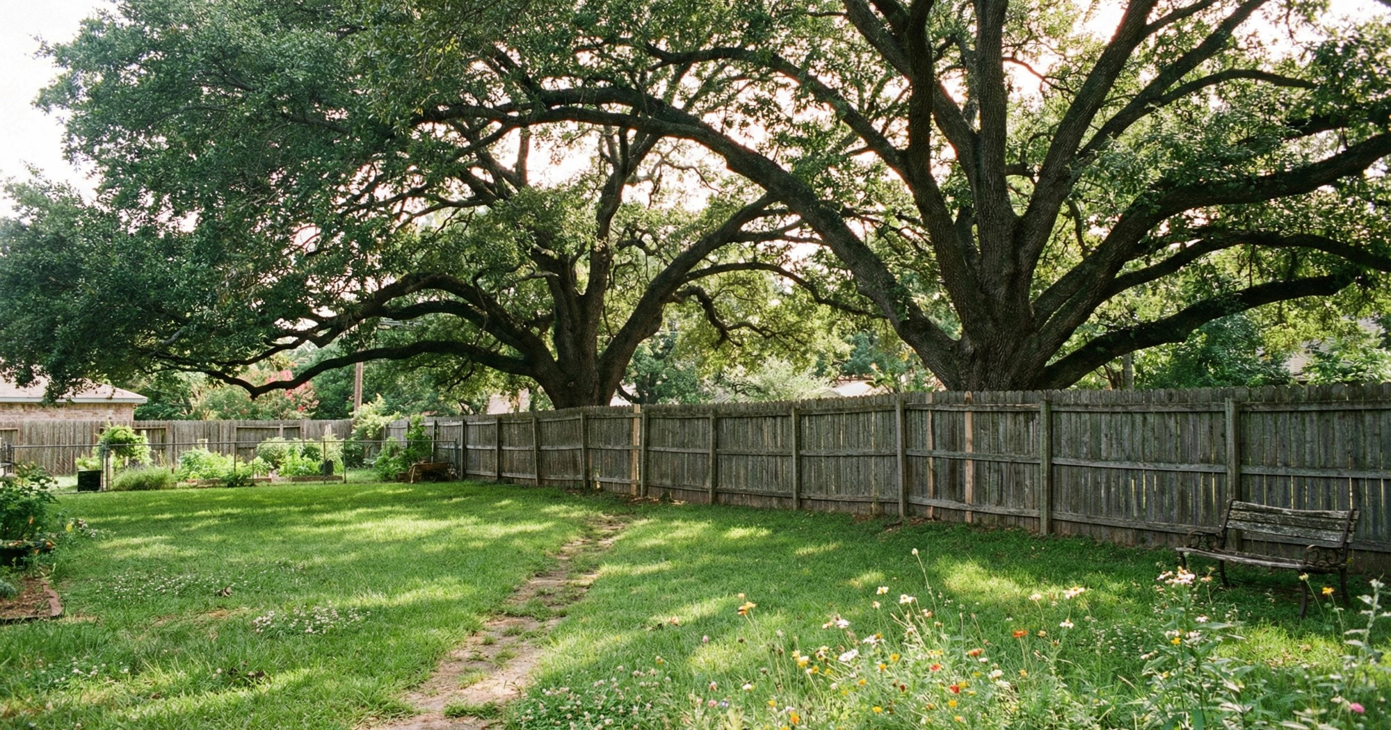 Tip se požalio na Redditu da mu je susjed bez pitanja odrezao stabla, želi ga tužiti