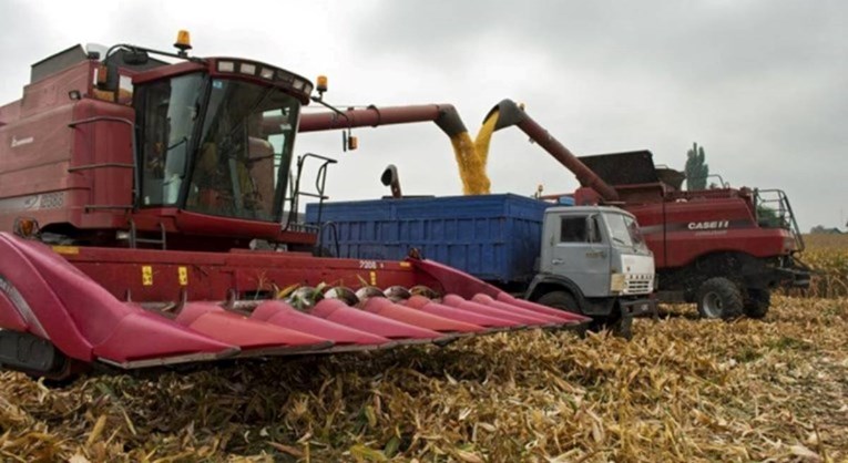Trinaest država članica žalilo se EK zbog mjera za ukrajinske žitarice