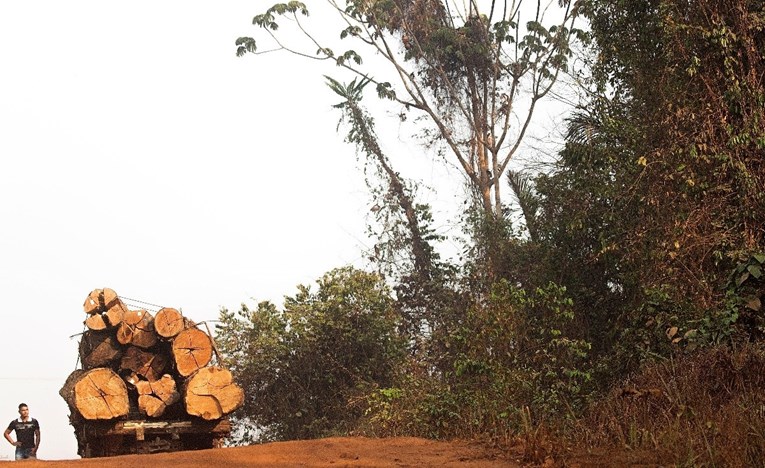Uništavanje Amazone u studenom bilo je za 100 posto veće nego lani