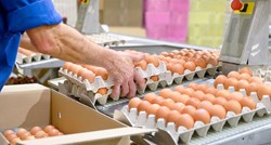 Kako prepoznati pokvareno jaje? Postoji par provjerenih tehnika
