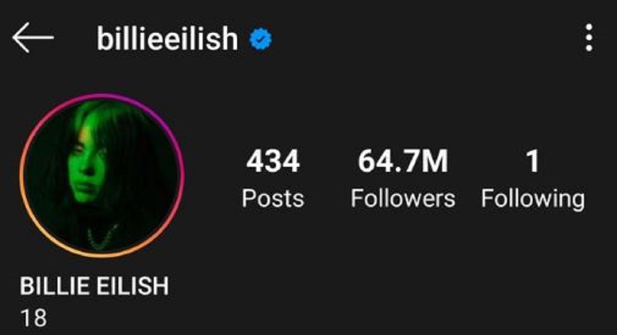 Billie Eilish otpratila je hrpu slavnih na Instagramu iz jako mračnog razloga