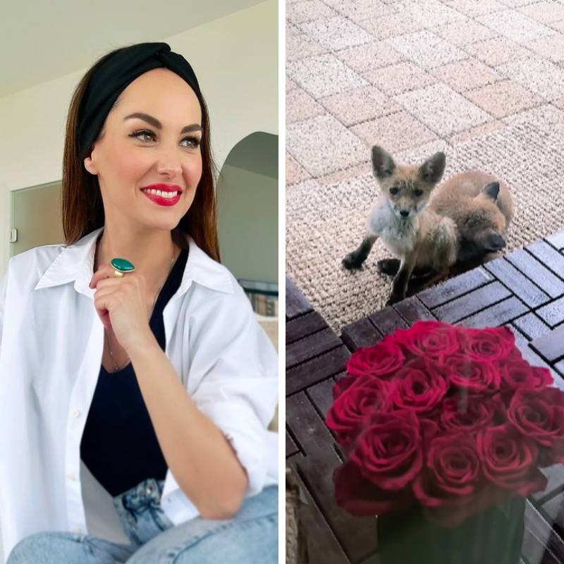 Tatjana Jurić pokazala što ju je dočekalo na terasi: "Ovo je sada njihova kuća"