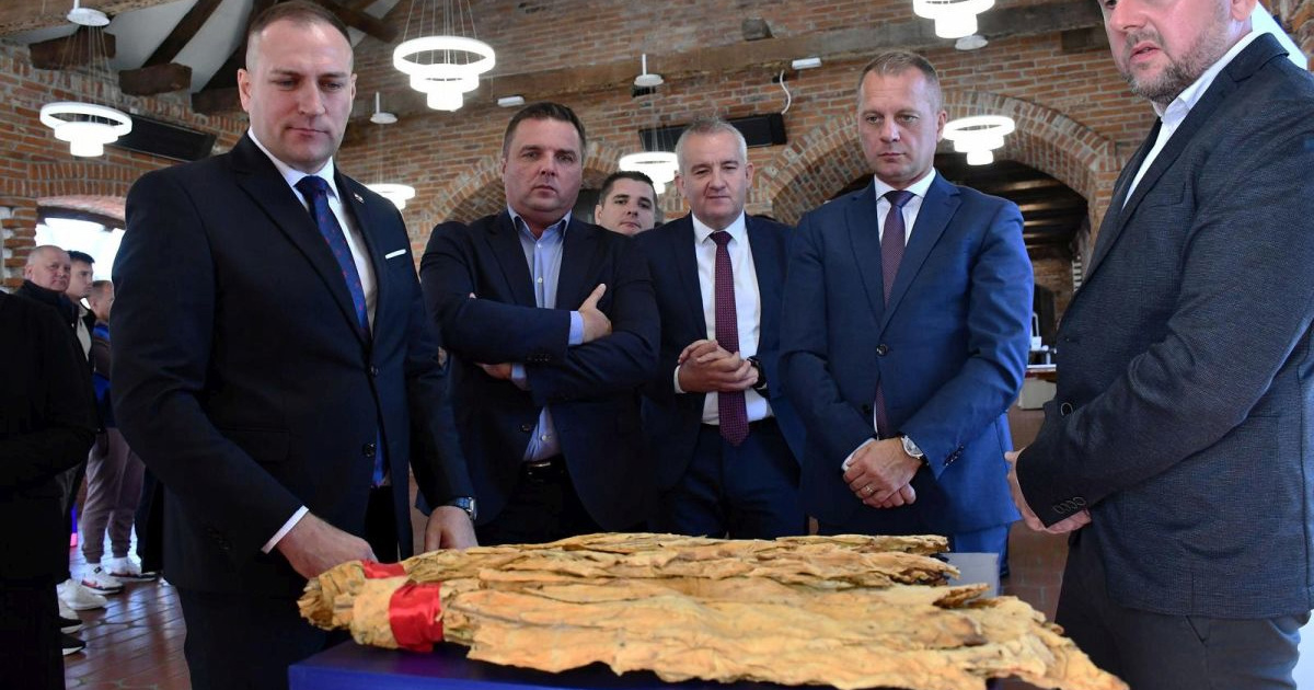 Suša, skupi energenti, manjak radnika... Hrvatski proizvođači duhana su nezadovoljni