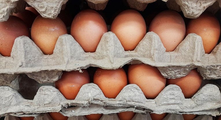 S polica Lidla se povlače jaja domaćeg proizvođača. Na farmi je pronađena salmonela