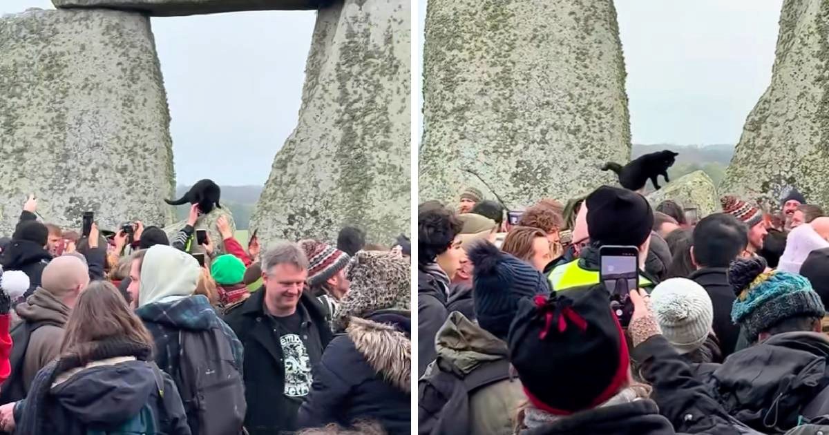 Tisuće ljudi kod Stonehengea obilježile zimski solsticij. A onda se pojavila i mačka