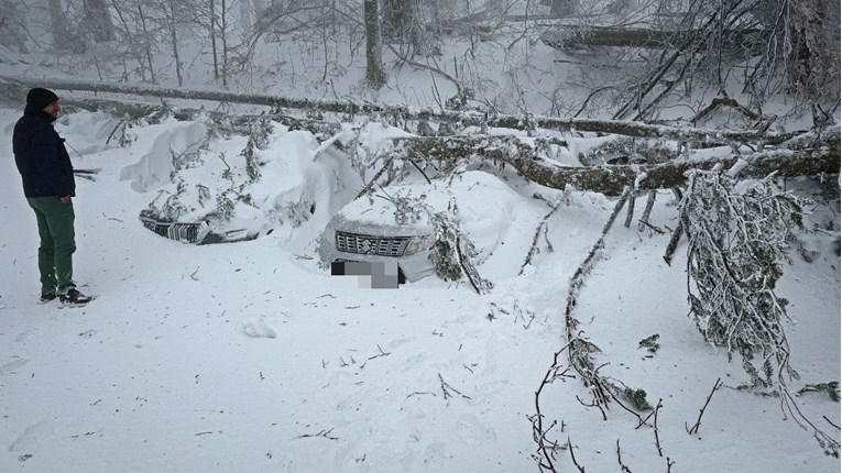 VIDEO Učenici zapeli na Sljemenu, golemo stablo palo na više auta