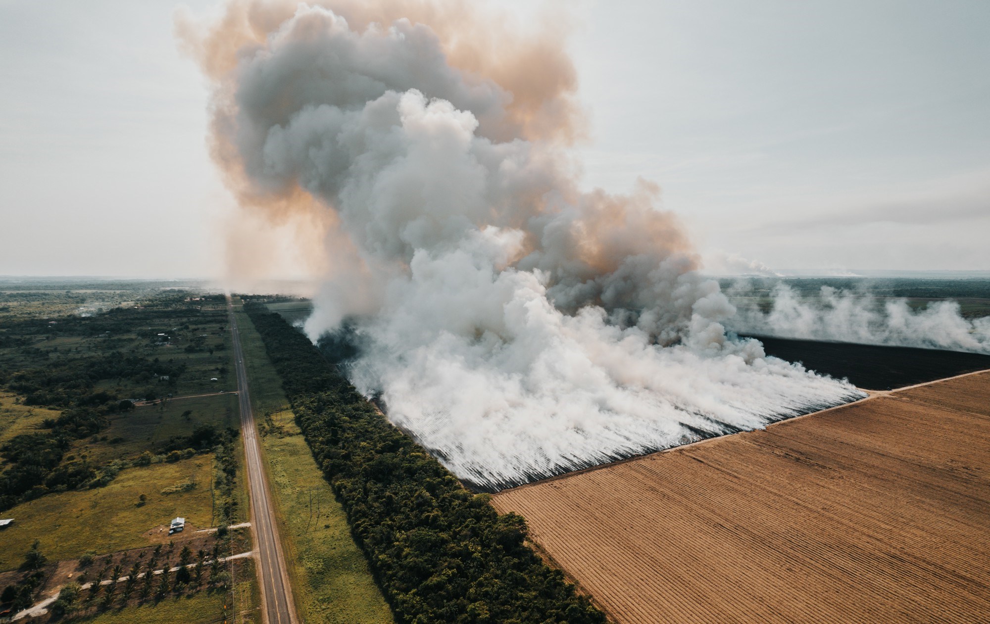 Indija priprema teren za pojačani izvoz šećera