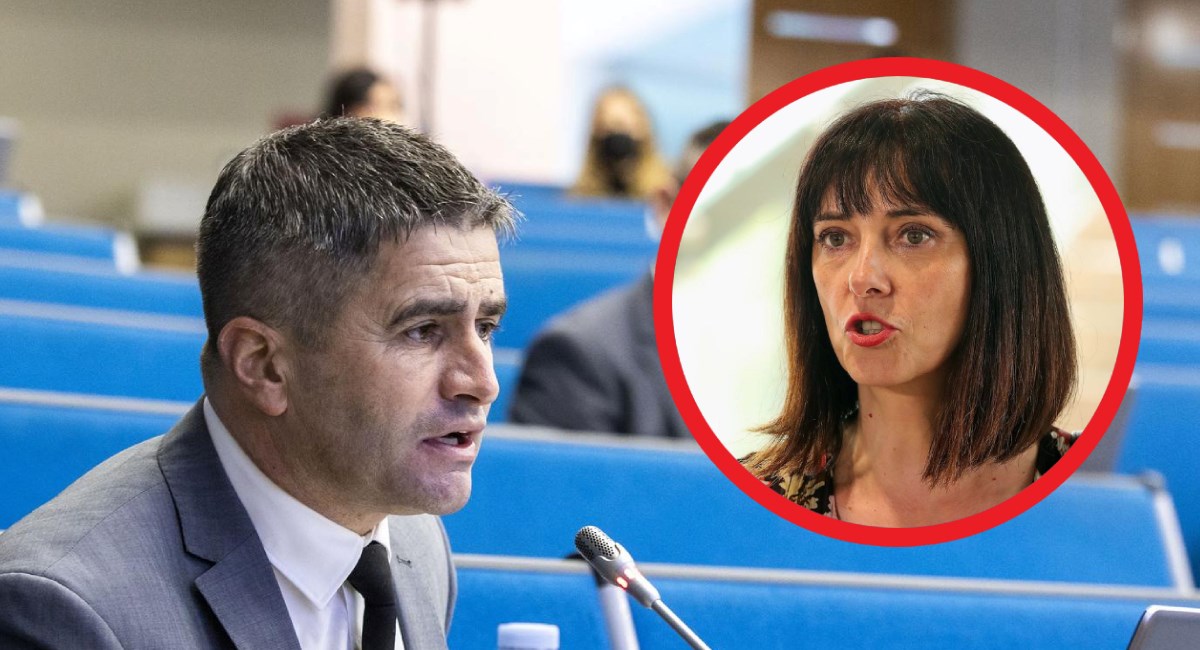 Blaženka Divjak o spašavanju Vice Mihanovića: Ovo je prostituiranje znanosti
