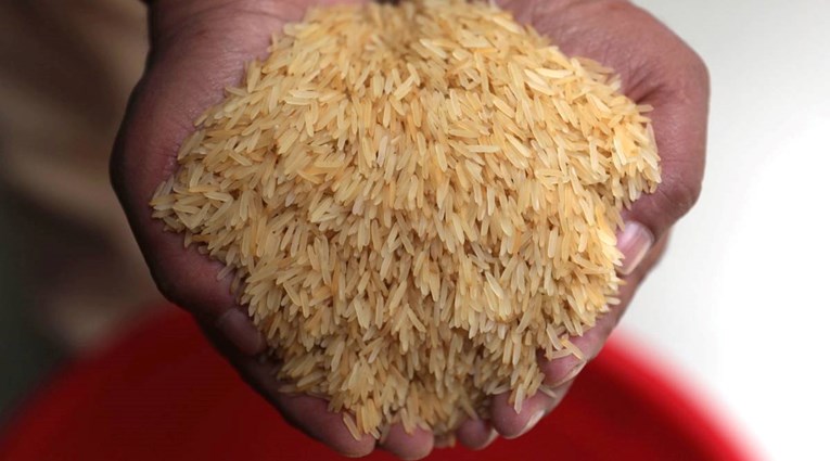 Zbog straha od indijske zabrane izvoza krenula navala na rižu