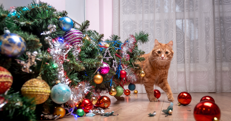Opasnosti božićnog drvca za mačke: Evo kako provesti siguran Božić s ljubimcem
