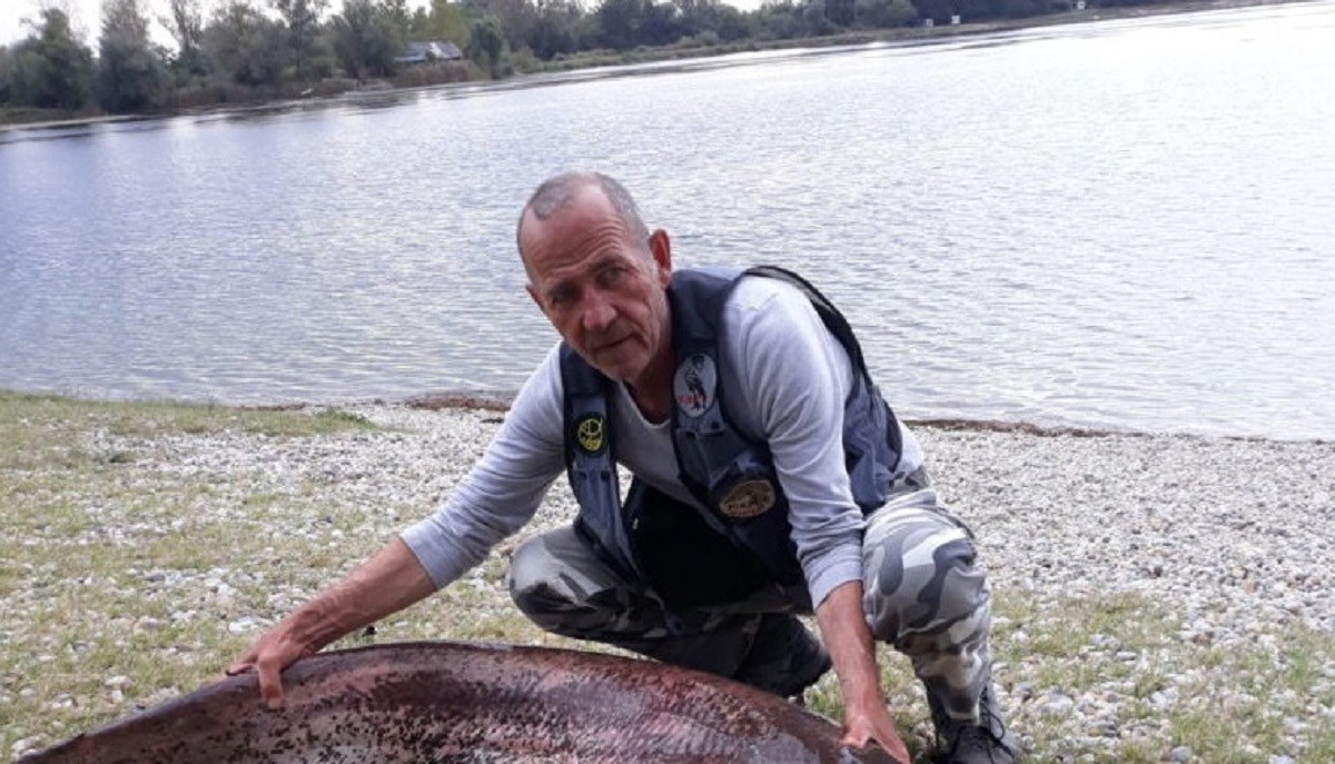FOTO Podravski ribar nakon pola sata borbe uspio izvući grdosiju iz Drave
