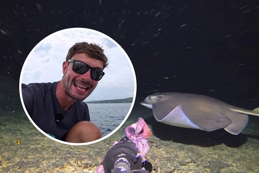 Spustio kameru na dno Balijskog mora: "Snimio sam stvorenje prvi put u povijesti"