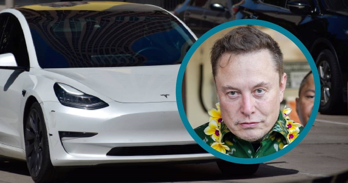 Musk: Testirajte moj potpuno autonomni sustav. Analitičar: Jesam, skoro sam se razbio