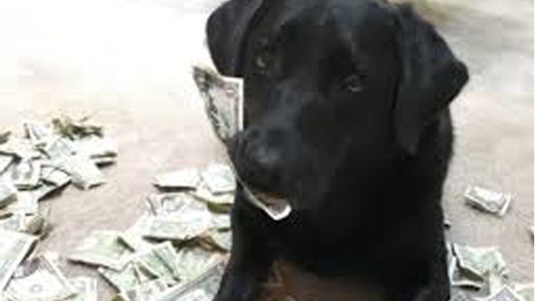 Upoznajte psa koji štedi novac za poslastice