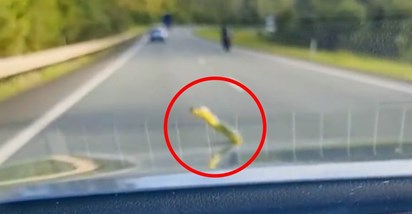 VIDEO Ovako izgleda život u Australiji: Dok su se vozili na autu im se pojavila zmija
