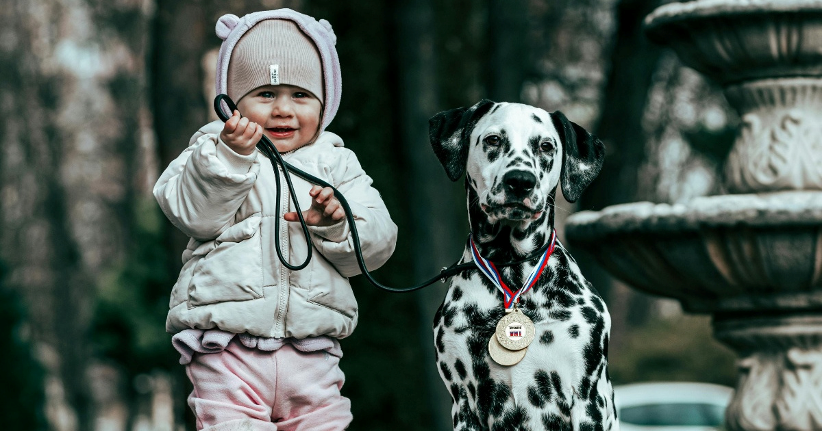 Psi uče jezik poput male djece, otkriva nova studija
