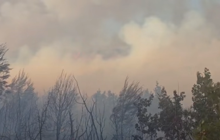 VIDEO Gori na više mjesta u Dalmaciji, na terenu četiri kanadera