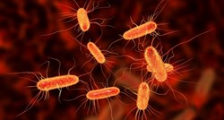 Samo jedna doza nove klase antibiotika uništila otporne bakterije