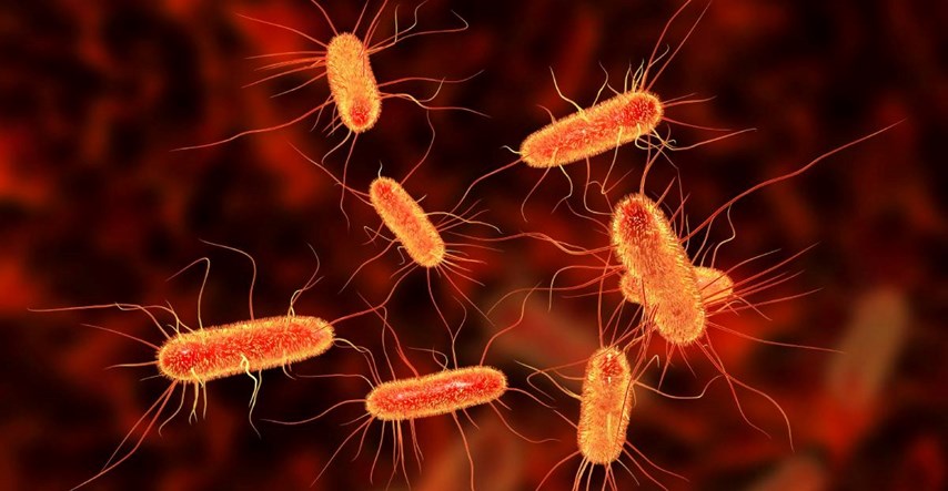 Samo jedna doza nove klase antibiotika uništila otporne bakterije