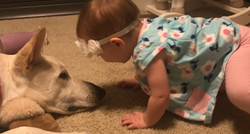 Djevojčica davala puse psu, a on joj uzvratio na najslađi mogući način
