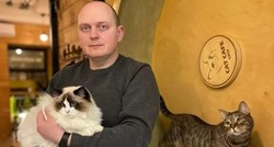 Cat Caffe u Lavovu otvoren je unatoč ratu: "Mačke su poput obitelji"