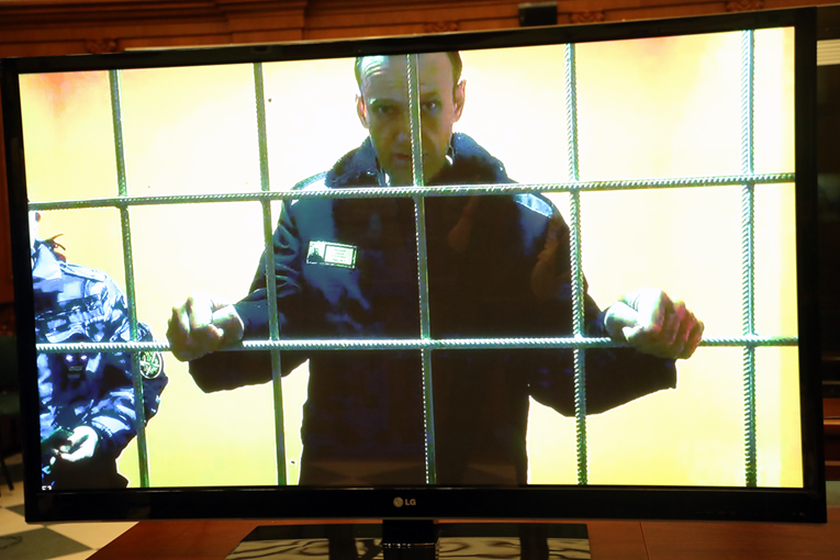 Pet europskih zemalja: Navalni otrovan toksinom koji se nalazi u ekvadorskim žabama