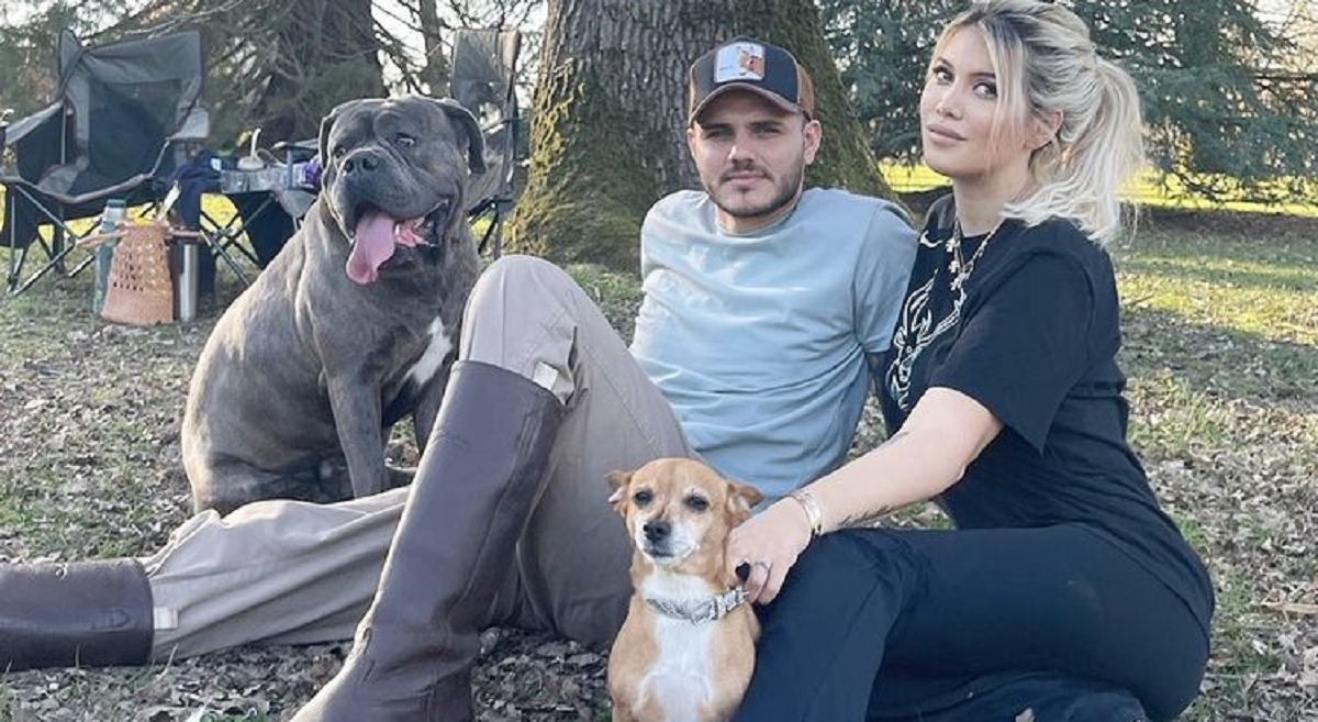 Icardi na Instagramu objavio fotografiju s Wandom i psom: Moj pas i moja kuja