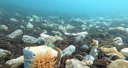 "Zagađeno već na 7 metara dubine": Ovako izgleda morsko dno na jugu Hrvatske