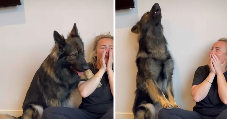 Njemački ovčar natjecao se s vlasnicom u "zavijanju". Video je urnebesan