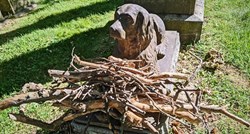 Psu koji je uginuo prije 100 godina ljudi i danas ostavljaju grane na grobu