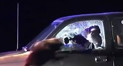 VIDEO Pas skočio u auto kroz razbijeno staklo i svladao osumnjičenika