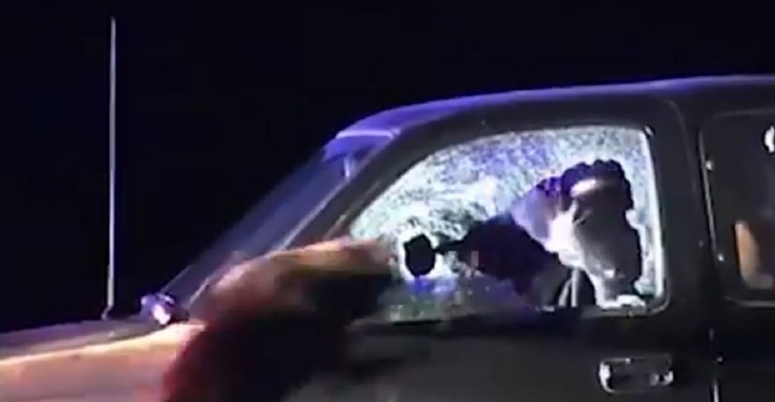 VIDEO Pas skočio u auto kroz razbijeno staklo i svladao osumnjičenika