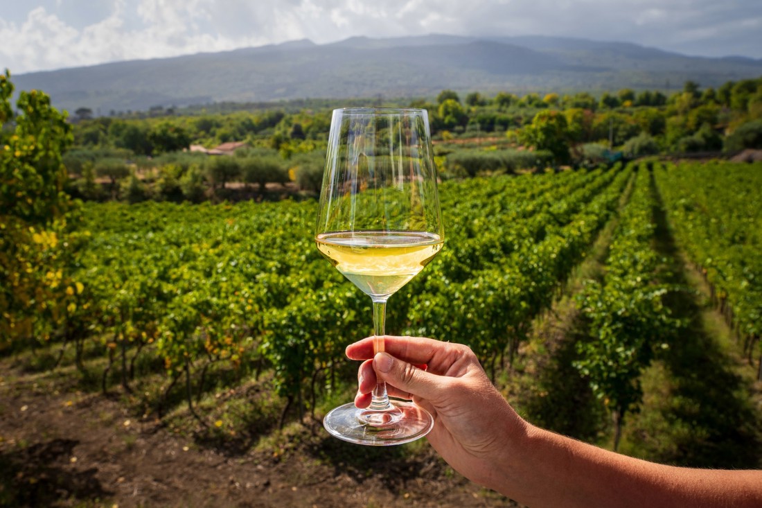 Michelin uvodi priznanja za vinarije, umjesto zvjezdica dodjeljivat će grozdove