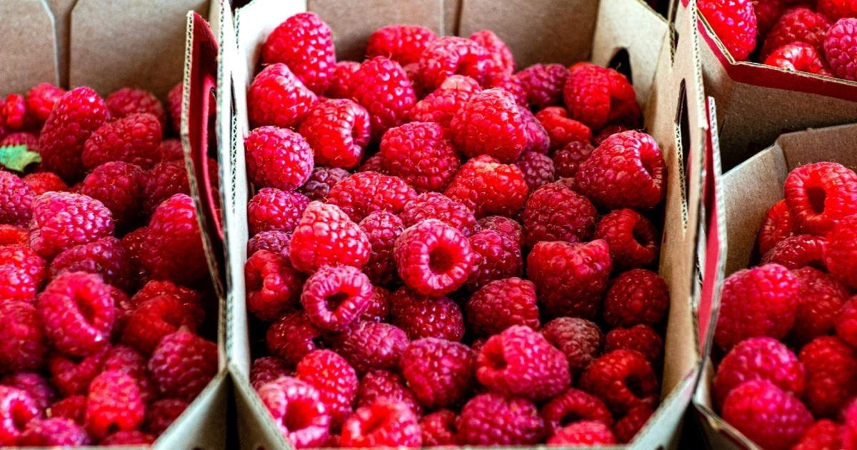 Dijetetičarka: 5 vrsta voća koje sadrže više vlakana nego zdjela zobenih pahuljica