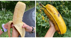 Ova ogromna banana postala je hit na društvenim mrežama, pogodite zašto