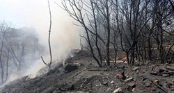 Lokaliziran požar na Biokovu, izgorjelo 15 hektara raslinja i šume
