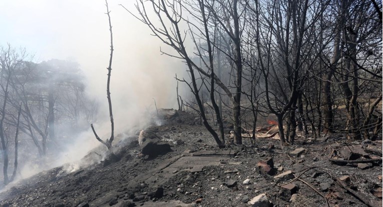 Požar na Biokovu je pod nadzorom, izgorjelo 15 hektara raslinja i šume