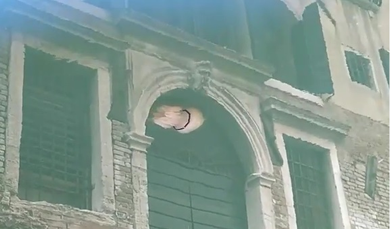 Biolog snimio nevjerojatan prizor u Veneciji: Plivala je blizu Trga svetog Marka